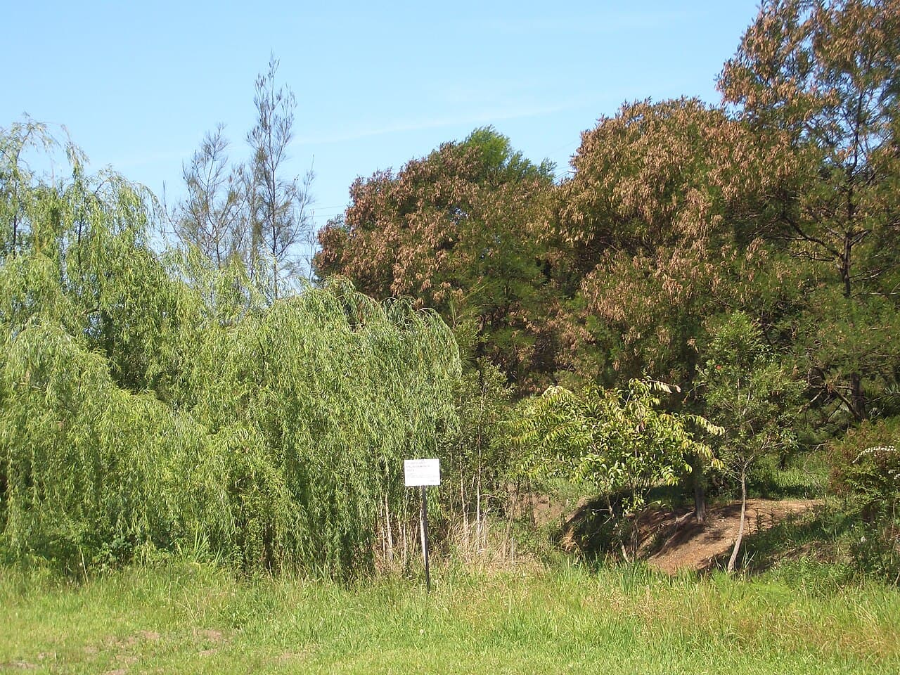A view of Potts Hill, NSW