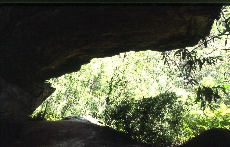 A view of Mount Kuring-gai, NSW