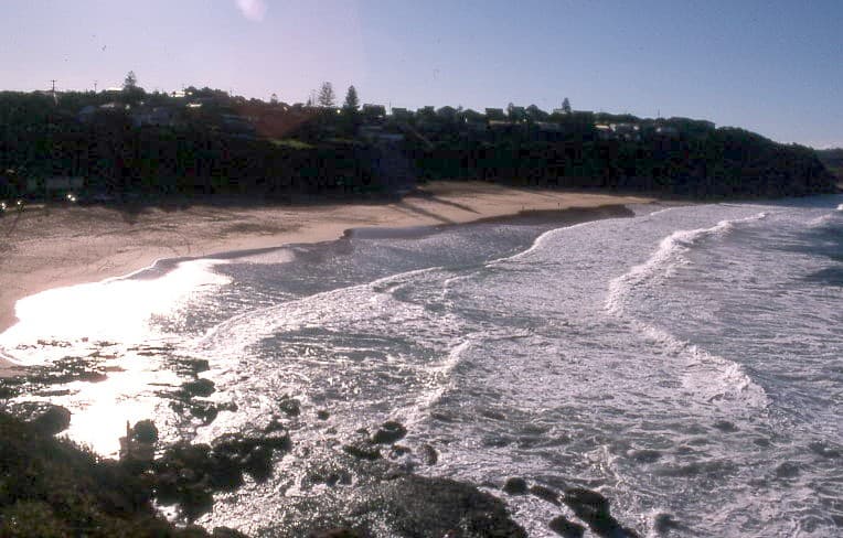 Beach Suburbs, Warriewood