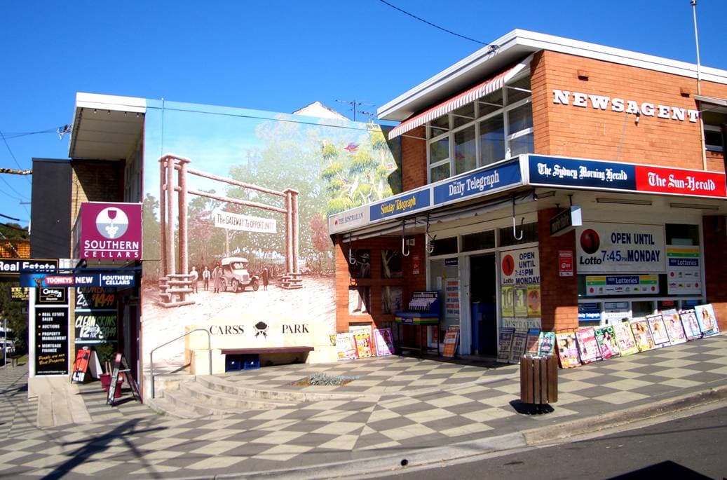 A view of Carss Park, NSW