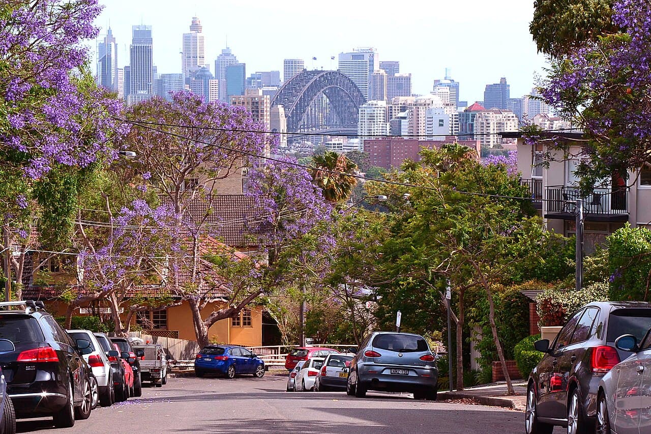 Bent St, Neutral Bay