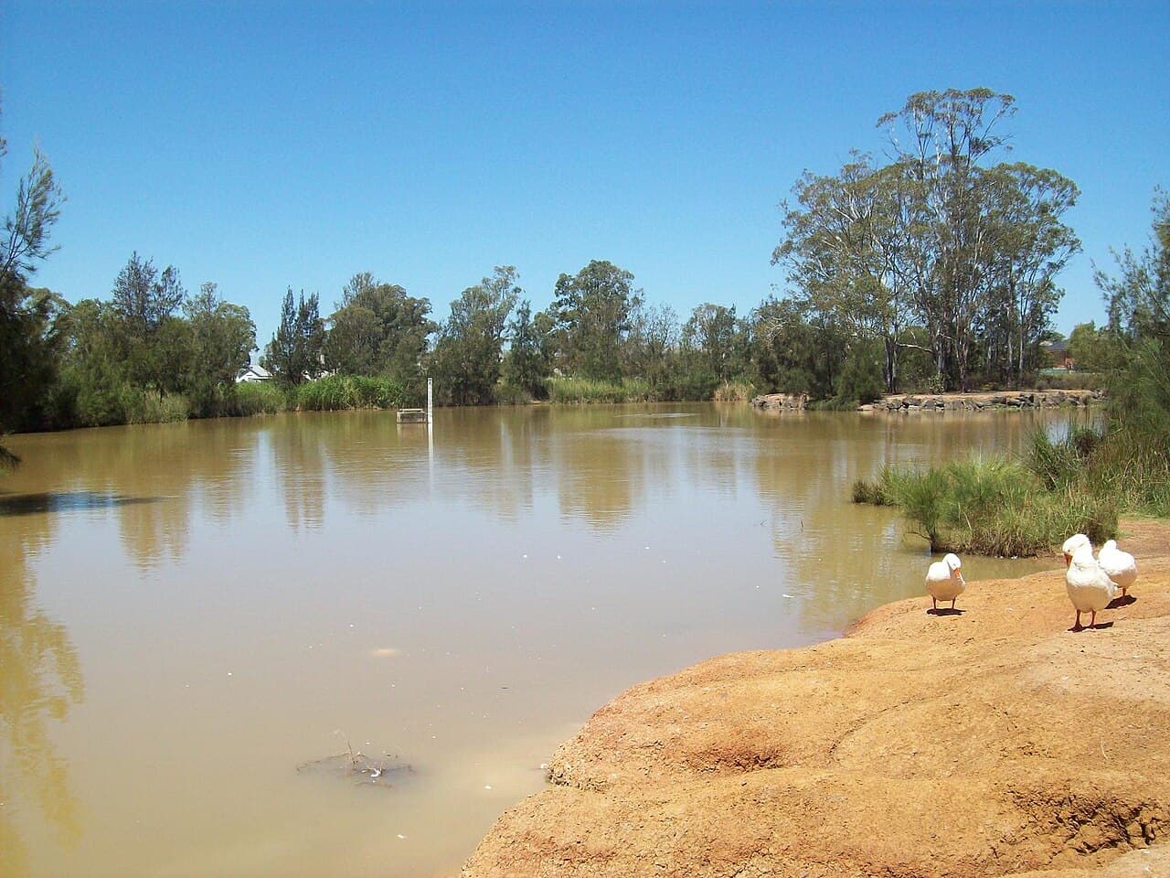 Plumpton lake