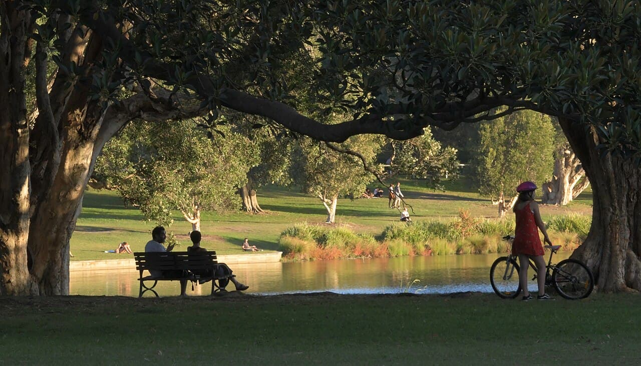 Afternoon light, Centennial Park