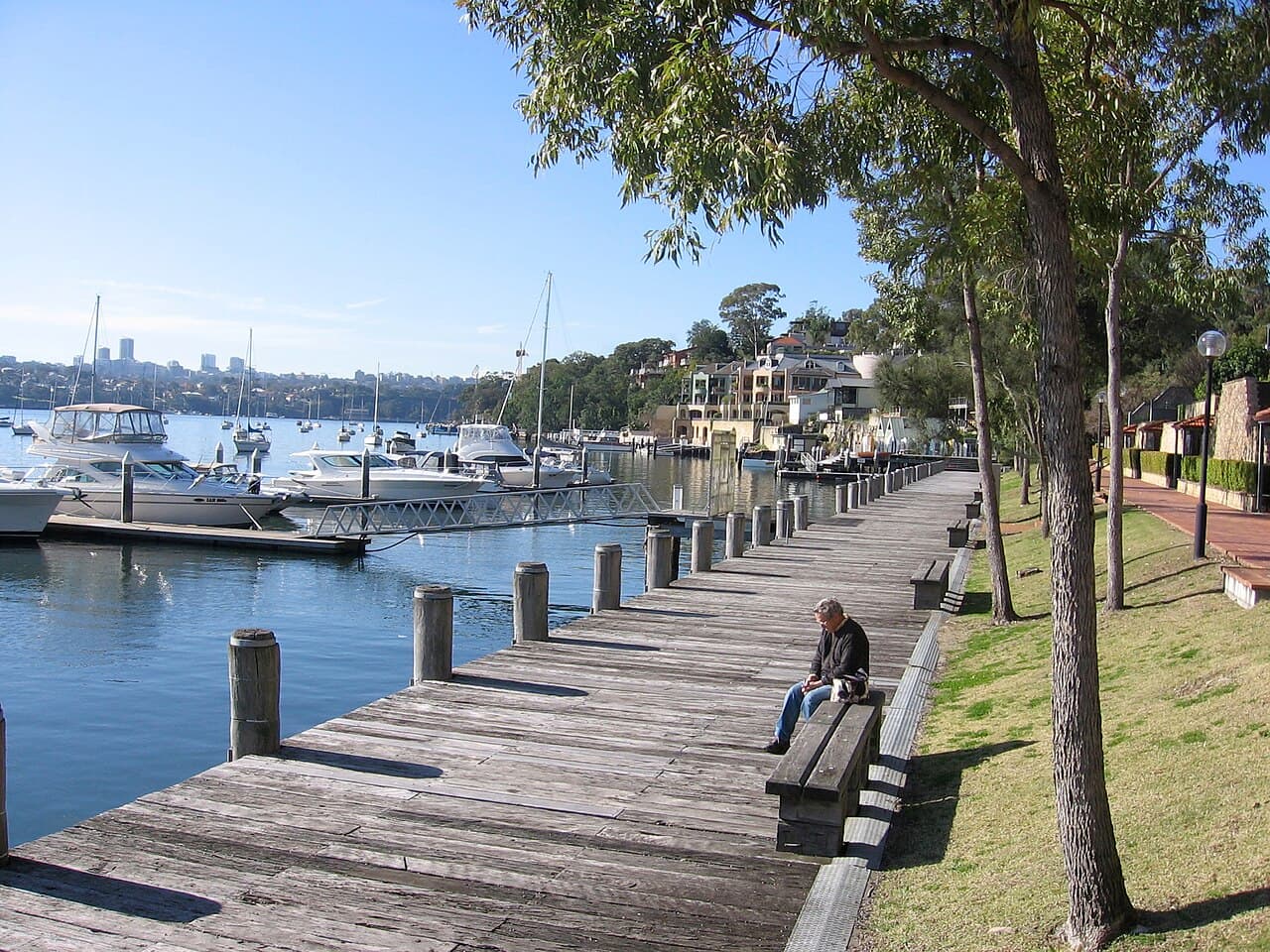 A view of Birchgrove, NSW