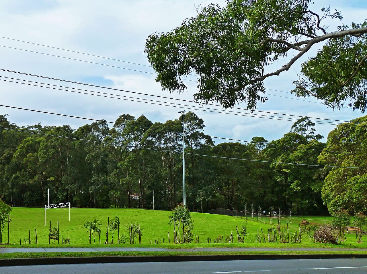Bicentennial Park, from Yanko Road, West Pymble