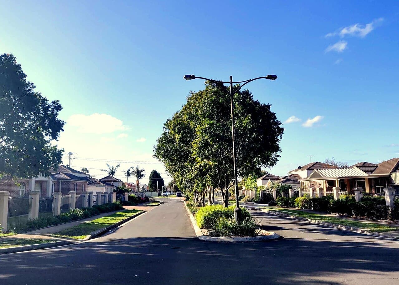 A view of Fairfield East, NSW