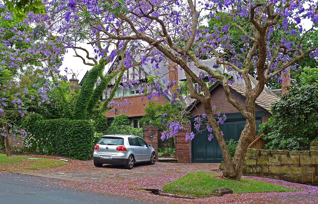 26 Springdale Road, Killara