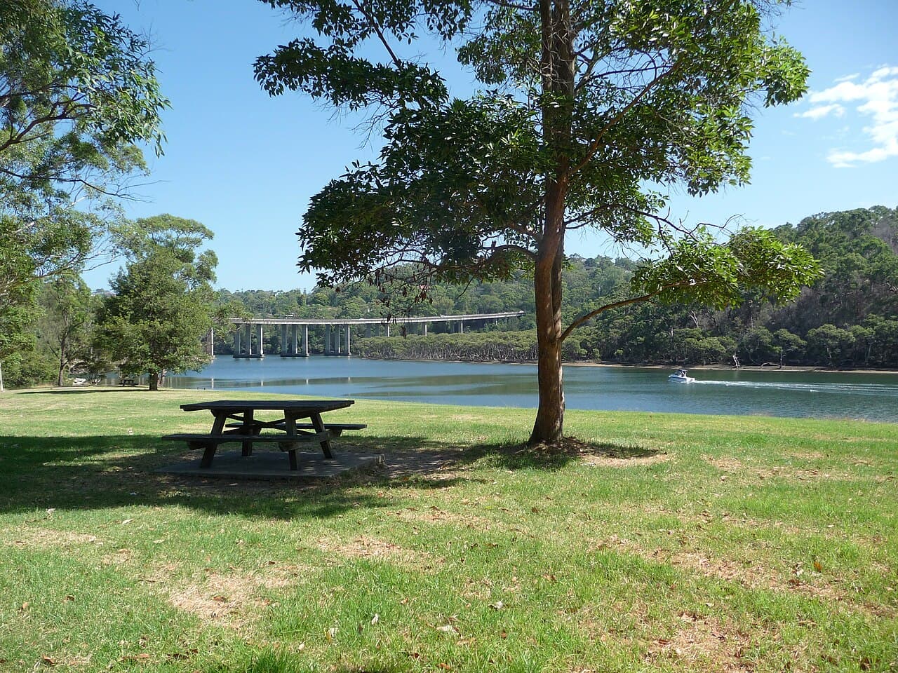A view of Forestville, NSW