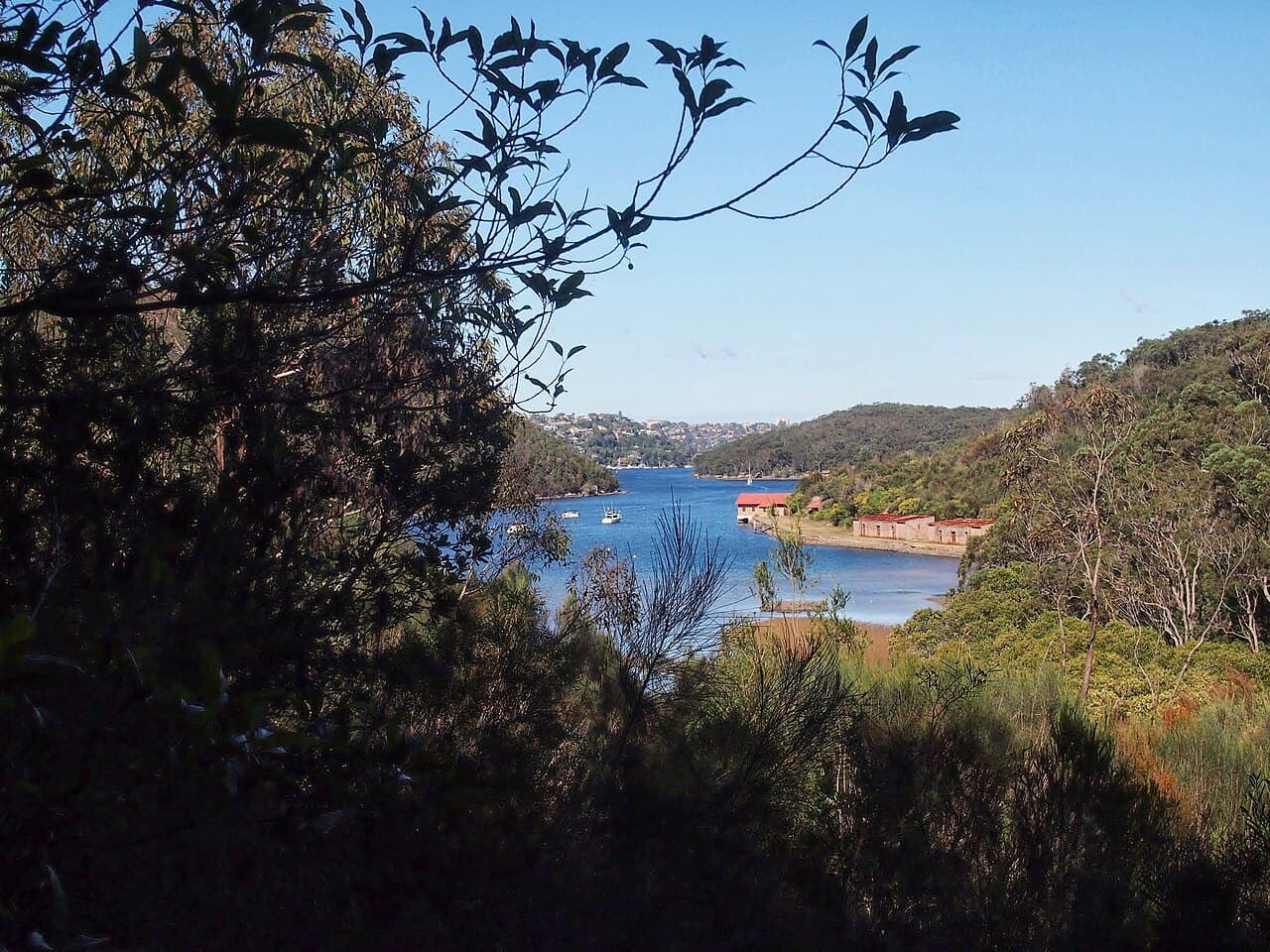 A view of Killarney Heights, NSW