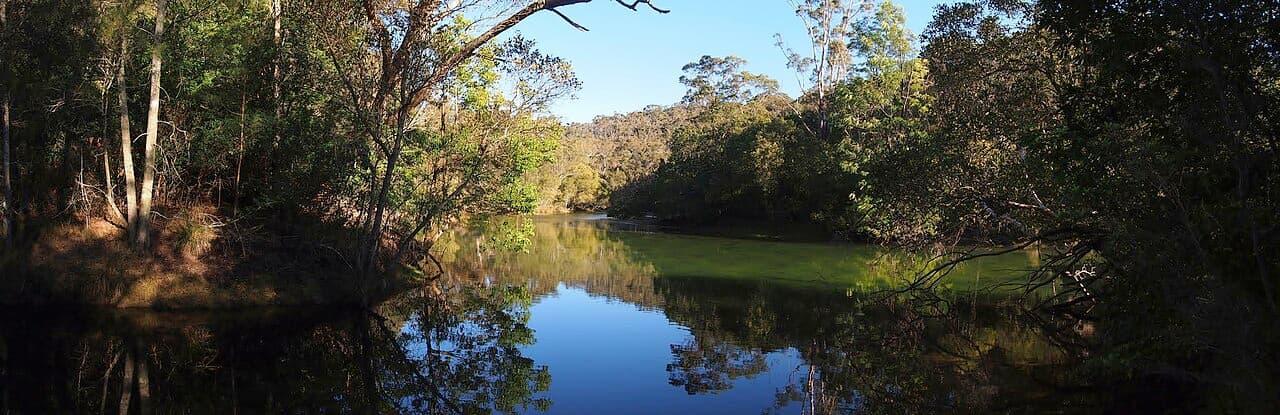 A view of Davidson, NSW