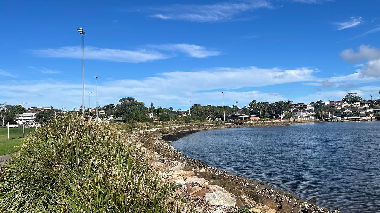 Kogarah Bay shoreline