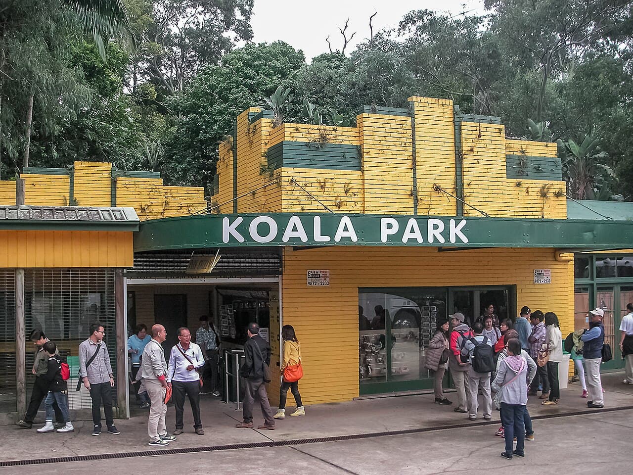 West Pennant Hills Koala Park