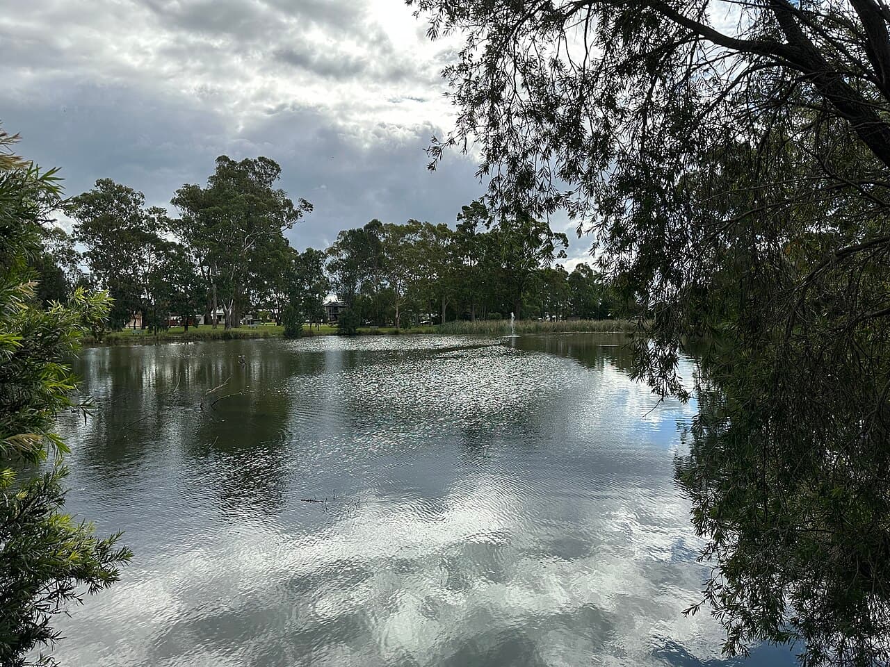 Clinches Pond, Moorebank
