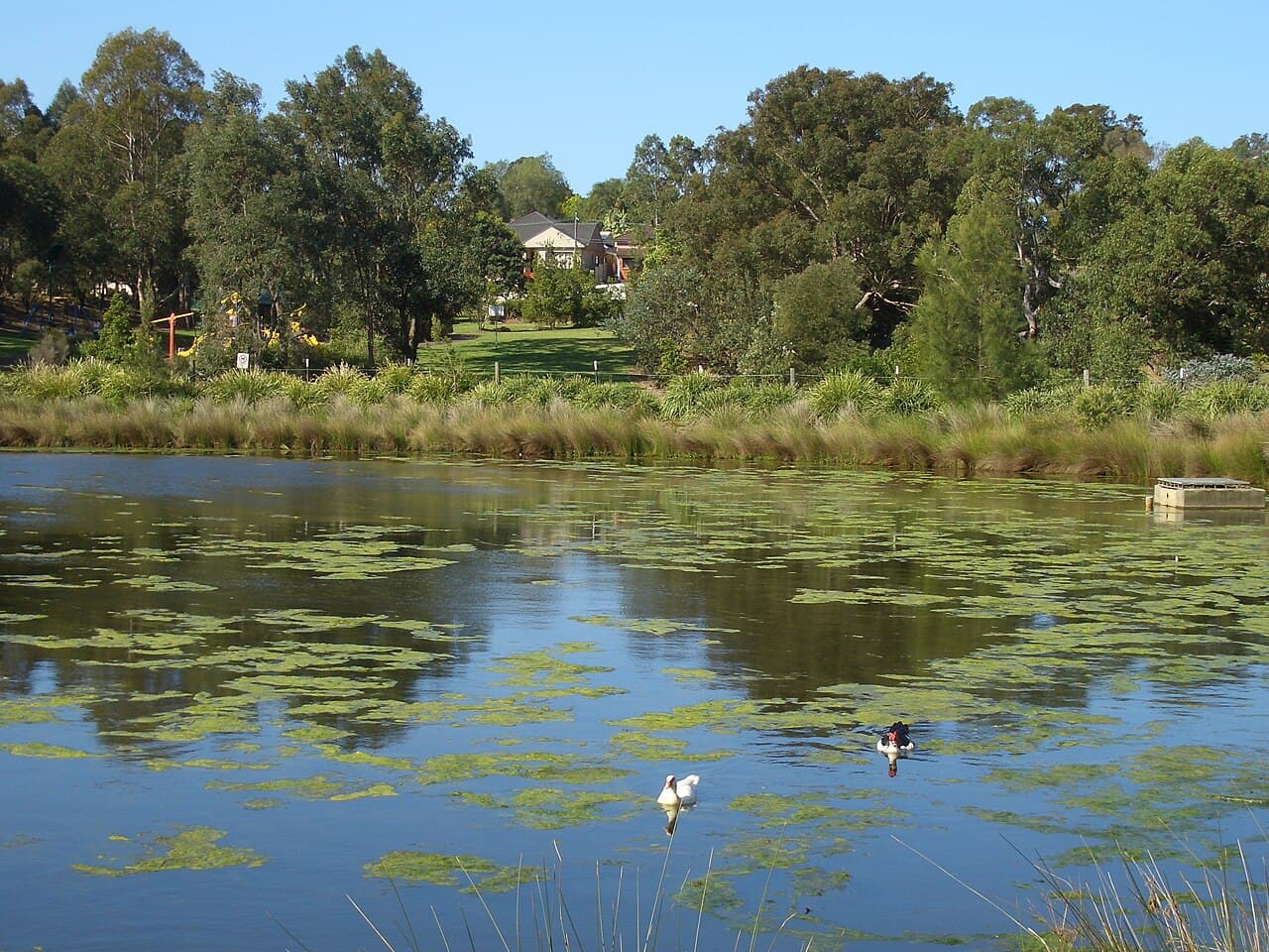 A view of Hurstville Grove, NSW