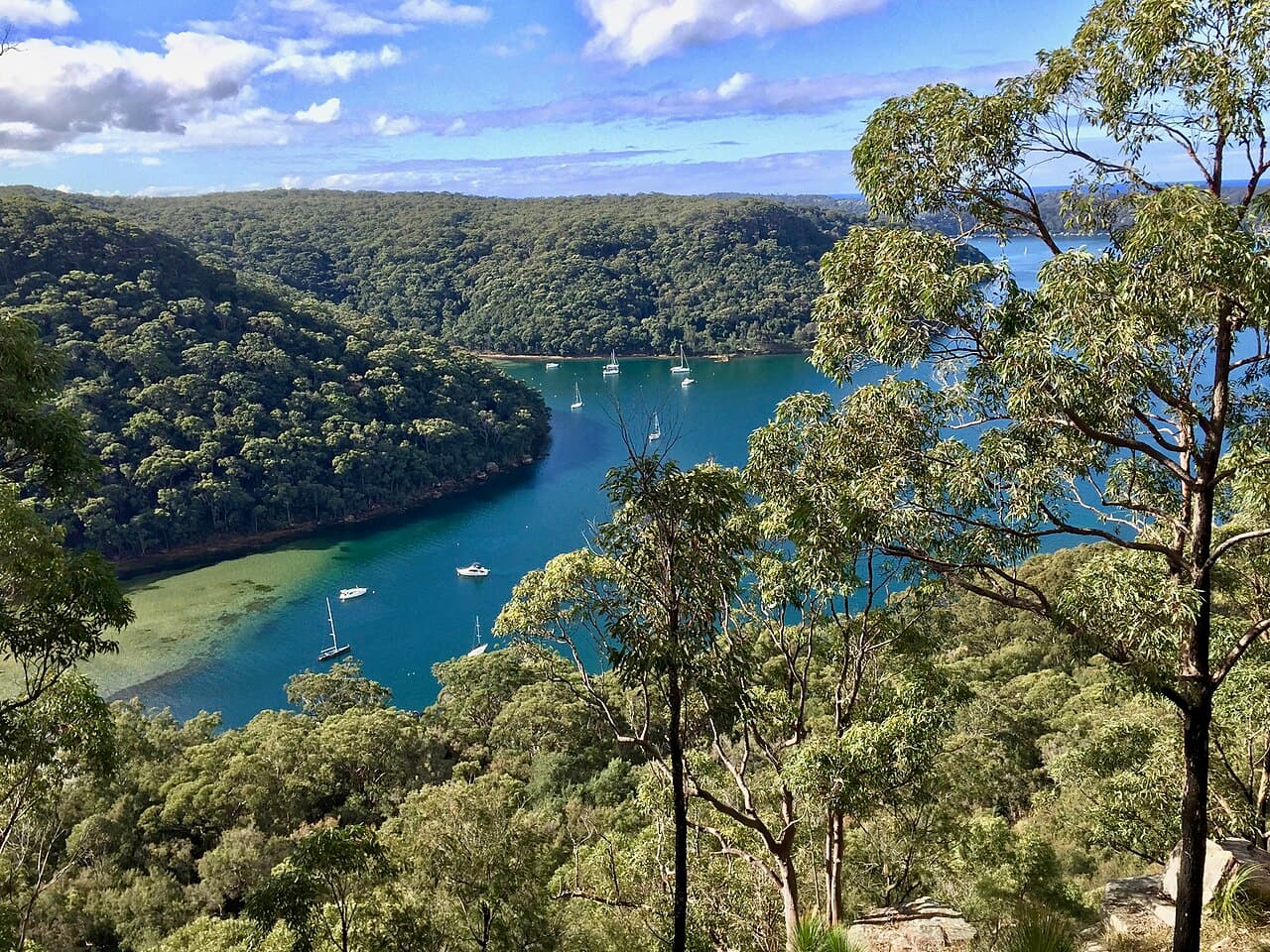 Towlers Bay AL, Ku-ring-gai Chase