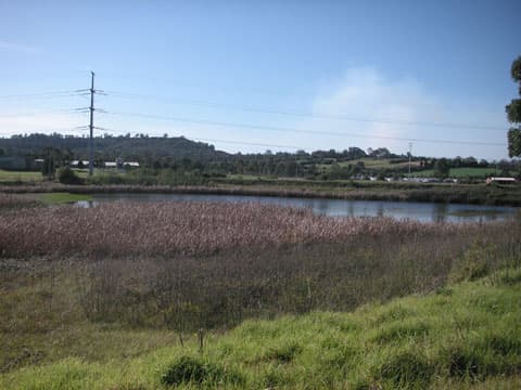 Raby burrendah