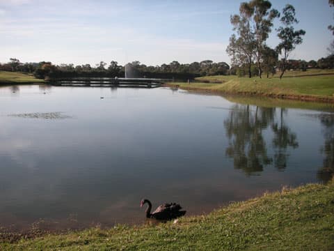 Glen Alpine golfcourse