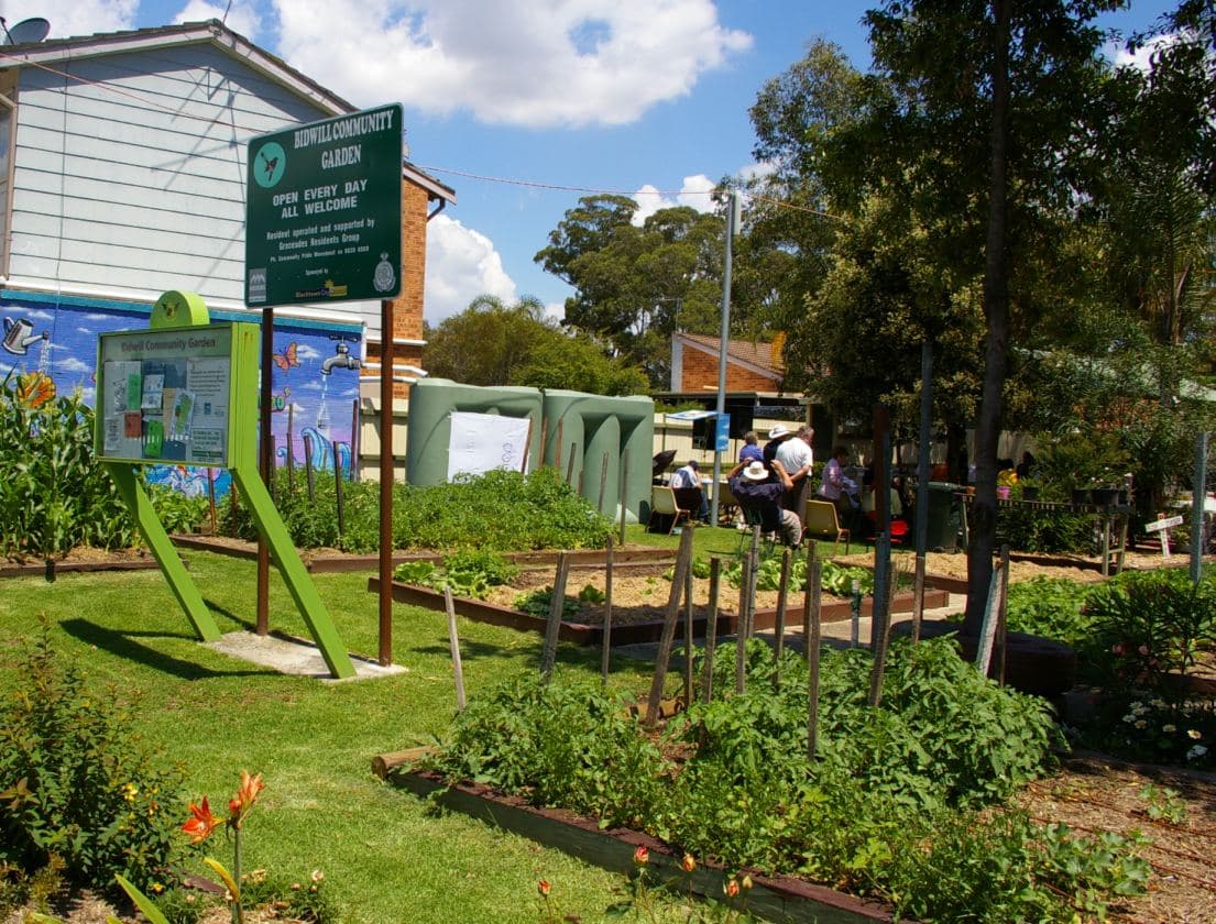 Bidwell community garden, Bidwill
